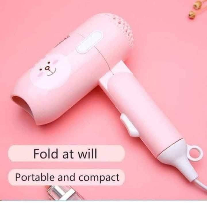 Reimiogton Salon Hair Care Mini Foldable Hair Dryer ?‍♀️✨ (RE-2030)